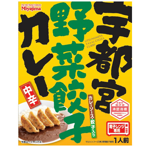 宇都宮野菜餃子カレー