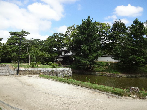 走らんか 副社長 51区 土浦 宮島醤油